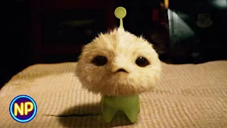 dicky gets a new pet cj7 2008 now playing