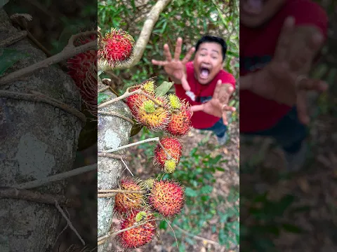Building a Fruit Picker : Survival Hacks for the Forest