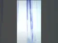 Download Lagu Elsa ❤ Found On TikTok Videyos ❤ Disney princesses ❤ Frozen 2 ❄ #barbie