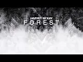 Harvey McKay - Forest (Original Mix) [Break New Soil]