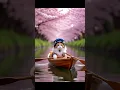 Download Lagu Captain Cat's Cherry Blossom Boat Ride 🌸 (You NEED to see this!)#Shorts #YouTubeShorts #Cute  #Cat