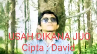 Download USAH DIKANA JUO-David | laguminang | David official MP3