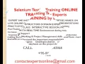Selenium Testing Online Training and Support