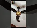Download Lagu CF gone wild 😜 #fyp #viral #trending