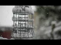 A Winter Aire | For Solo Piano | Reece Marshburn