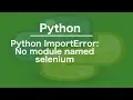 python ImportError No module named selenium