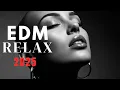 Download Lagu 【EDM Relax #2】Chill Out EDM Mix 2025 🌴 Relax, Focus, Drive | Tropical Vibes to Clear Your Mind