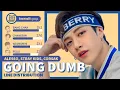 STRAY KIDS, ALESSO, CORSAK - Going Dumb (Line Distribution)