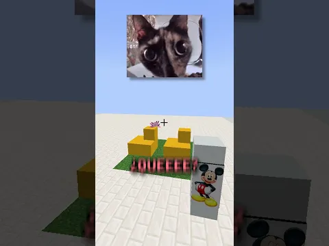 ñiki ñaus #shorts  #minecraft