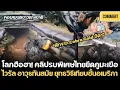 Download Lagu คอมเมนต์ชาวต่างชาติ,คลิปรบพิเศษไทยยึดภูมะเขือ ไวรัล! อาวุธทันสมัย ยุทธวิธีเทียบชั้นอเมริกา