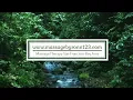 M4M Massage San Francisco Bay Area Ron Naples CMT 2026