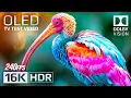 Lagu Breathtaking Beauty of the World - 16K HDR 240fps Dolby Vision (4K / 8K TV)