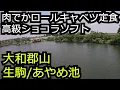 Download Lagu 隠れ家イタリア風ロールキャベツ定食 ガトーショコラ専門店【奈良 大和郡山市生駒市あやめ池】