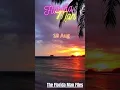 19 Aug Surfing on Cop Cars and Backyard Planets
