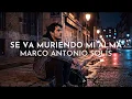 Marco Antonio Solís - Se Va Muriendo Mi Alma (Visualizer)
