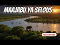 Download Lagu MAAJABU YA MSITU  WA SELOUS | HIFADHI YA PILI KWA UKUBWA DUNIANI