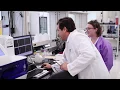 Central Laboratory and Pathology Services American Oncology Network