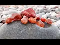 Download Lagu Grand Marais, Michigan Agate Hunting on the Beach with Nancy and Rob
