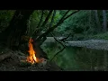 4K Campfire by the River - Relaxing Fireplace & Nature Sounds - Robin Birdsong  - UHD Video - 2160p