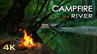 4K Campfire By The River Relaxing Fireplace Nature Sounds Robin Birdsong UHD Video 2160p 