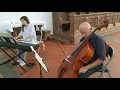 Vivaldi - Cello Concerto in A minor, RV 422