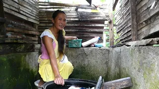 2nd outdoor pooping simple bathroom in the province pigs noice