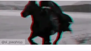 حنا اهل الايمان بو بكر وعثمان واحفاد ابن خطاب للسنا حمينة 