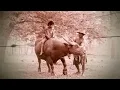 ชาวนาอาลัย - คนด่านเกวียน