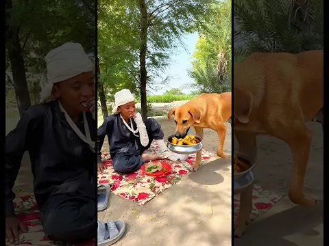 Allah sent the dog to help him #ytshorts #trendingshorts #viralvideo #emotional #islamic