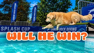 I Thought My Dog Could Dock Dive…