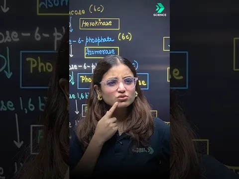 Glycolysis Trick in 80 Sec Mnemonics to Remember Glycolysis Steps - Biology video for Grade 11