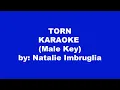 Download Lagu Natalie Imbruglia Torn Karaoke Male Key
