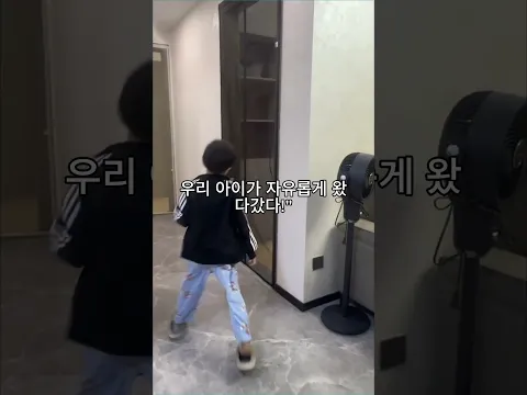 현관 자석 모기장 (러브버그)방충망 방충문