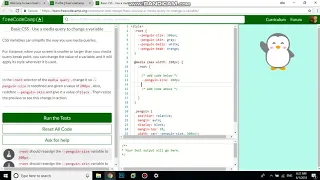 Basic CSS Use a media query to change a variable free code camp Dani