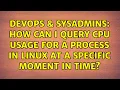 DevOps SysAdmins How can I query CPU usage for a process in Linux at a specific moment in time