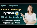 Function Overriding in Object Oriented Python Not a Big Deal