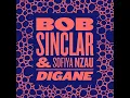 Bob Sinclar & Sofiya Nzau - Digane (Extended Mix) || Afro House Source