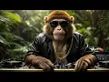 Download Lagu DJ GO RILLA – 🎧 JOURNEY №5 | Afro House Jungle MIX | BALI