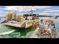 We Pulled 450 Traps in 6 Hours on a Huge Commercial Maine Lobster Boat Catch Cook