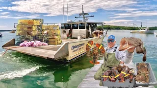 We Pulled 450 Traps in 6 Hours on a Huge Commercial Maine Lobster Boat Catch Cook