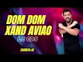 Lagu Dom Dom Xand avião ✈️💥 @XandAviao @lccds #swing 