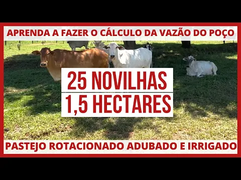 Download MP3 PROJETO de PASTEJO ROTACIONADO ADUBADO E IRRIGADO - 25 NOVILHAS DE RECRIA EM 1,5 HECTARES