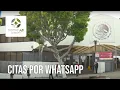 Nueva Modalidad Citas de Pasaportes en el Consulado Mexicano de Los Angeles a traves de WhatsApp