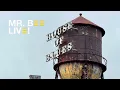 Mr. Bee Live - Josh Ross live at the House of Blues Orlando in Orlando, FL