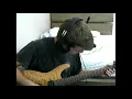 Download Lagu Dance Gavin Dance - Demo Team (Guitar Cover)