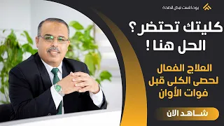 خطوات لتنظيف الكلى أولا بأول وتجنب الفشل الكلوى والحصوات | حماية الكلى وكيف تحمي نفسك من حصوة الكلى