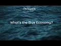 Download Lagu What is Blue Economy?