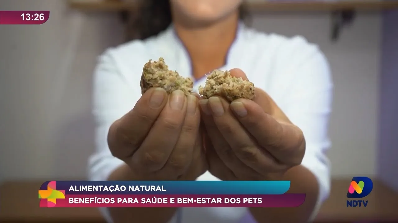 Alimentação Natural para Pets: O Caminho para uma Vida Mais Saudável e Saborosa