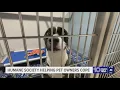 Humane Society of Tampa Bay expands efforts to help families keep pets amid financial struggles