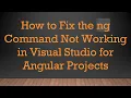 How to Fix the ng Command Not Working in Visual Studio for Angular Projects